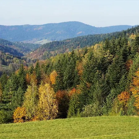 Сasa de vacaciones Dom W Uhryniu